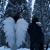 Artwork for DVRST, aysi - wings