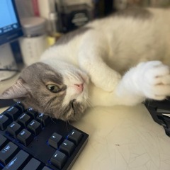 Reunited from Undertale(guitar)