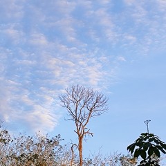 Rayola - Latiah Manjago Hati