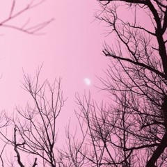 Same Shit Nothing Changes w/brecken (prod.venus)