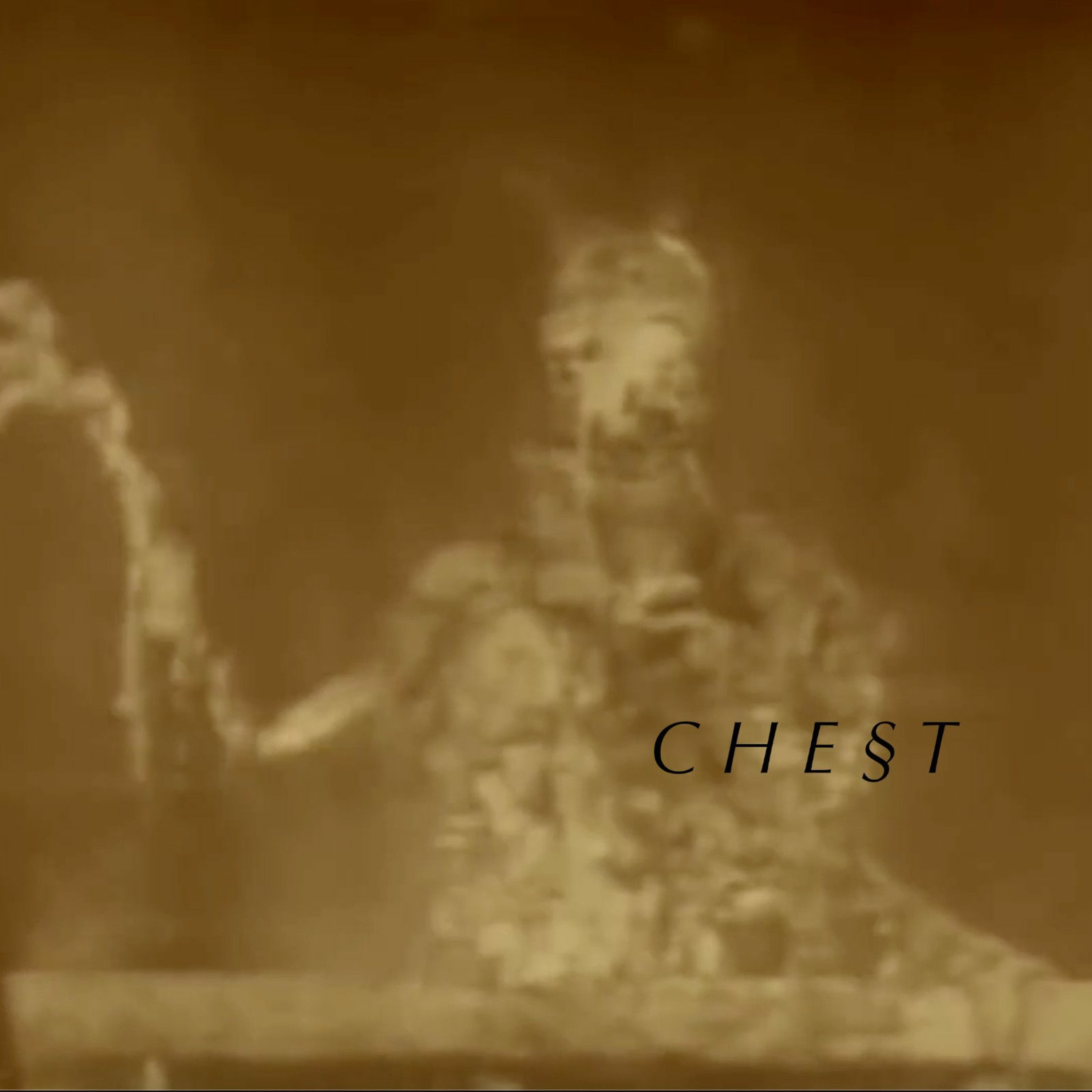 chest 52 ,,,,, Animacy (shaping a shadow, holding a friend)