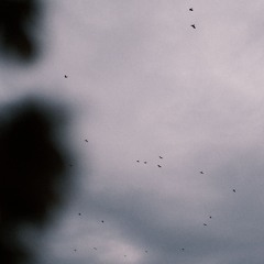 i hope i die before you