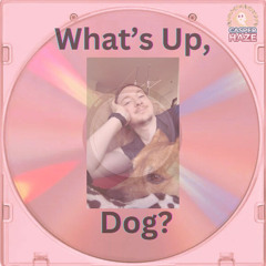 What's Up, Dog?