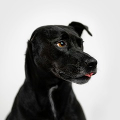 Soldier, Poet, King (R.Mvck Edit)