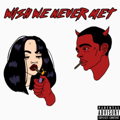 wish we never met! (prod. dannyphxntom x june)