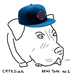bein stoopit