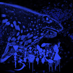 Fraudulent Eye-Gland Startle Behavior/Sapo Dorado
