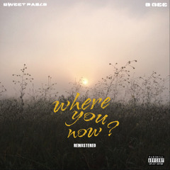 Where You Now w/ O-Gee ( REMASTERED )