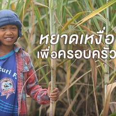 ซากอ้อย