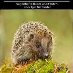 Pdf Read Igel: Sagenhafte Bilder Und Fakten Ã¼ber Igel Fã¼r Kinder (German Edition) By  Loranz Enzo