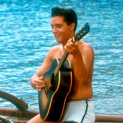 Elvis Presley: Cant Help Falling In Love With You [2004]