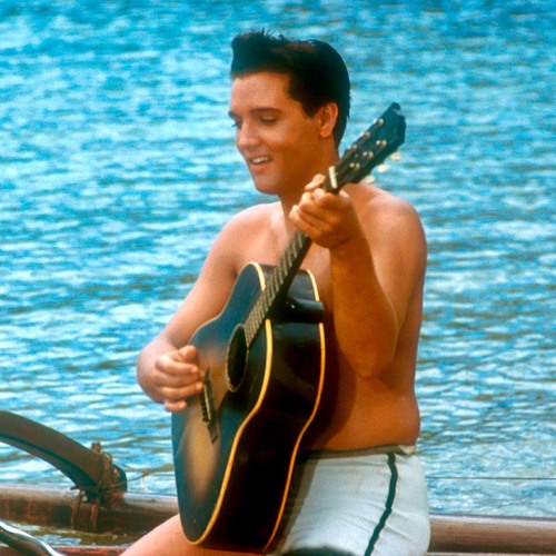 Elvis Presley: Cant Help Falling In Love With You [2004]