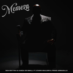 Memeza (feat. Starr Healer & Frigid Armadillo)