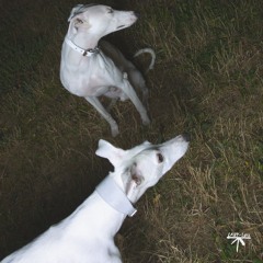 Brigade - People of Science (LULLP011)