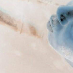 SimxSantana x King Von - For A Fact (Mugen One Mix)