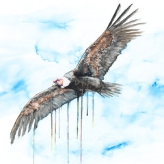 Kuntur (feat. Steve Spacek)