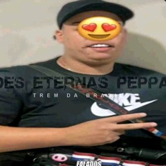 BIURIFOL - TERROR DA BRASIL MANO PEPPA (( DJ EMIGE _DJ LULA _ DJ POLYVOX )) FILHOTE DO RABUJENTO(M4A