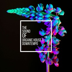The Sound Of Organic House & Downtempo vol.5 Mixed by Kurt Kjergaard