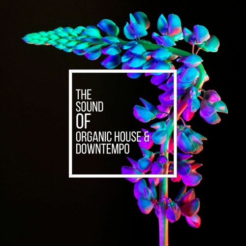 The Sound Of Organic House & Downtempo vol.5 Mixed by Kurt Kjergaard