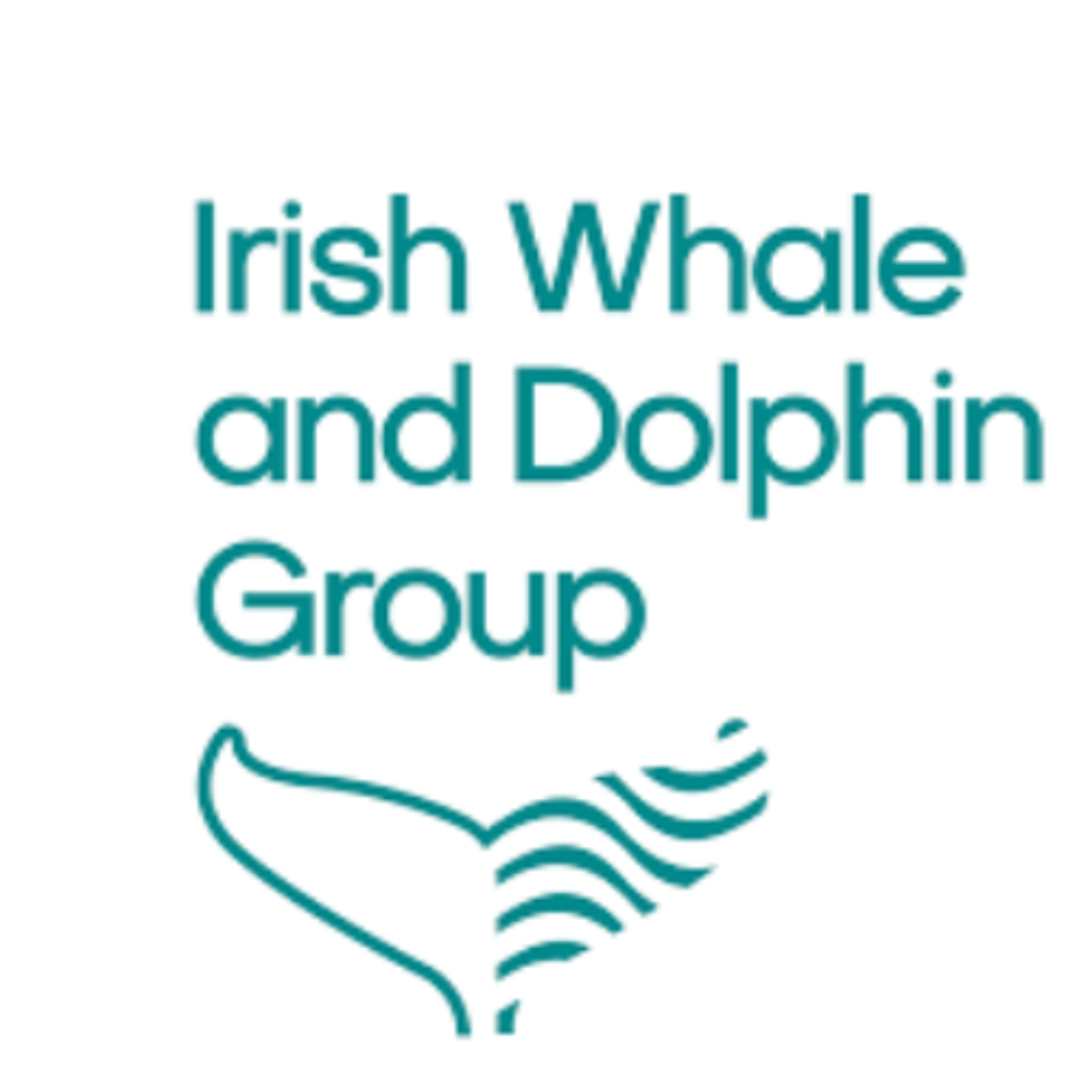 Good Cause Profile: Irish Whale and Dolphin Group (IWDG)