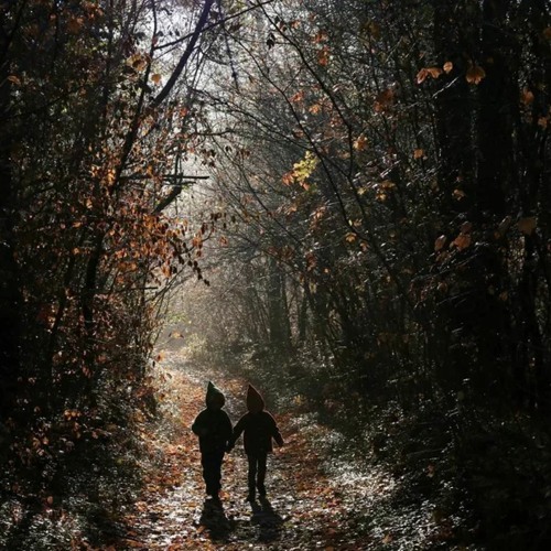 Stream Growing Up In Nature by Mira Roddy Listen online for free on