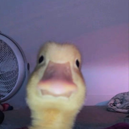 DELTARUNE- April 2012 (slowed)