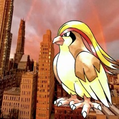 pidgeot type beat (prod. mudkupz)