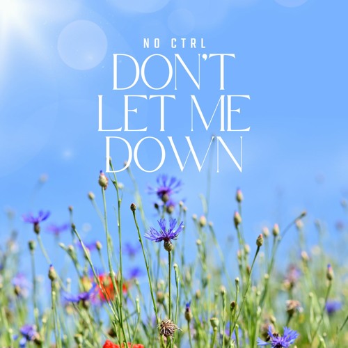 Don't Let Me Down