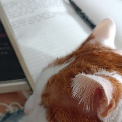 una canción de mi diario (demo)