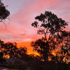 Sunset #3