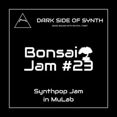 Synthpop In MuLab - Bonsai Jam 23