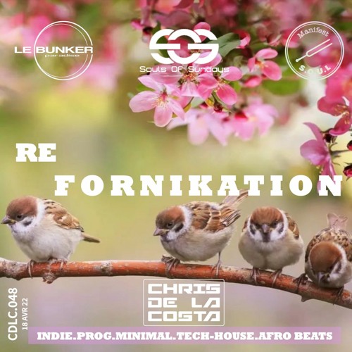 CDLC048 - REFORNIKATION - INDIE BEATS CHRIS DE LA COSTA