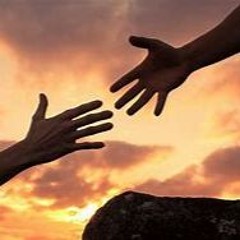 Too Late To Fly Without You