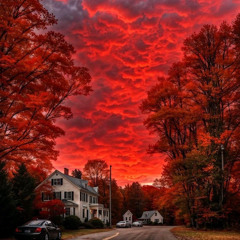 Neverlate - All I Wanted (Official Audio) (prod. by VALXR)