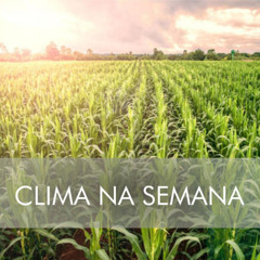 As condições são favoráveis para o começo do plantio da safra de verão?