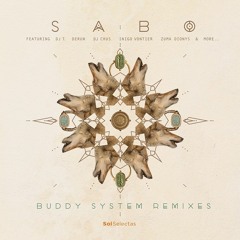 Namito, Sabo Feat. Bahramji - Celebration Santoor (Laroz & T-Puse Remix) [Sol Selectas]