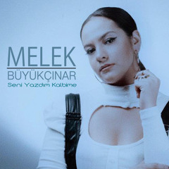 Seni Yazdım Kalbime
