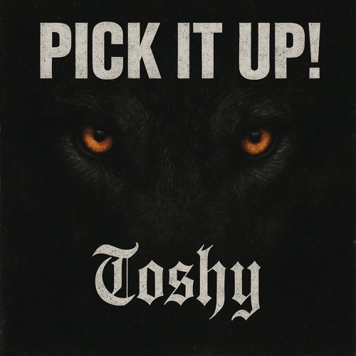 Toshy - Pick It Up!