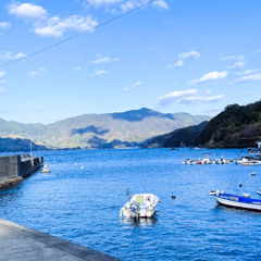 Siroura
