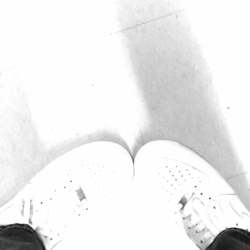 whitelist (prod. nomu x hikari)