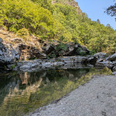Aquatic Insect Stridulation - Florac, Cevennes, France