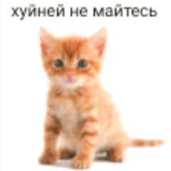 психолог