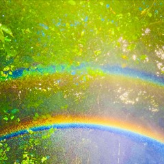 B1) 7.24.17 "head”