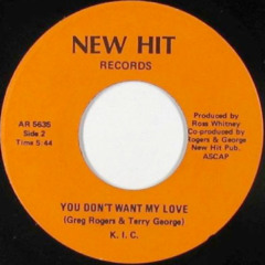 You Dont Want My Love (delfonic edit)
