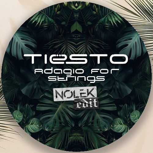 artworks-gBfXO3Ct6iIoj8NX-yuyKdg-t500x500.png