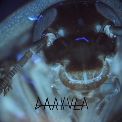 Snakes (FREE DOWNLOAD)