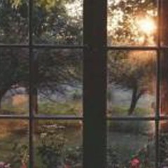 شبابيك - 12/10/2020