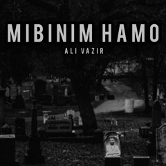 Mibinim Hamo