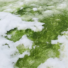 GREEN SNOW prod.TAURS