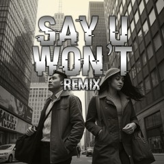 Cupid - Say U Won't [Hip-Hop Remix] (prod. Cupid x Dianasty x RCS)